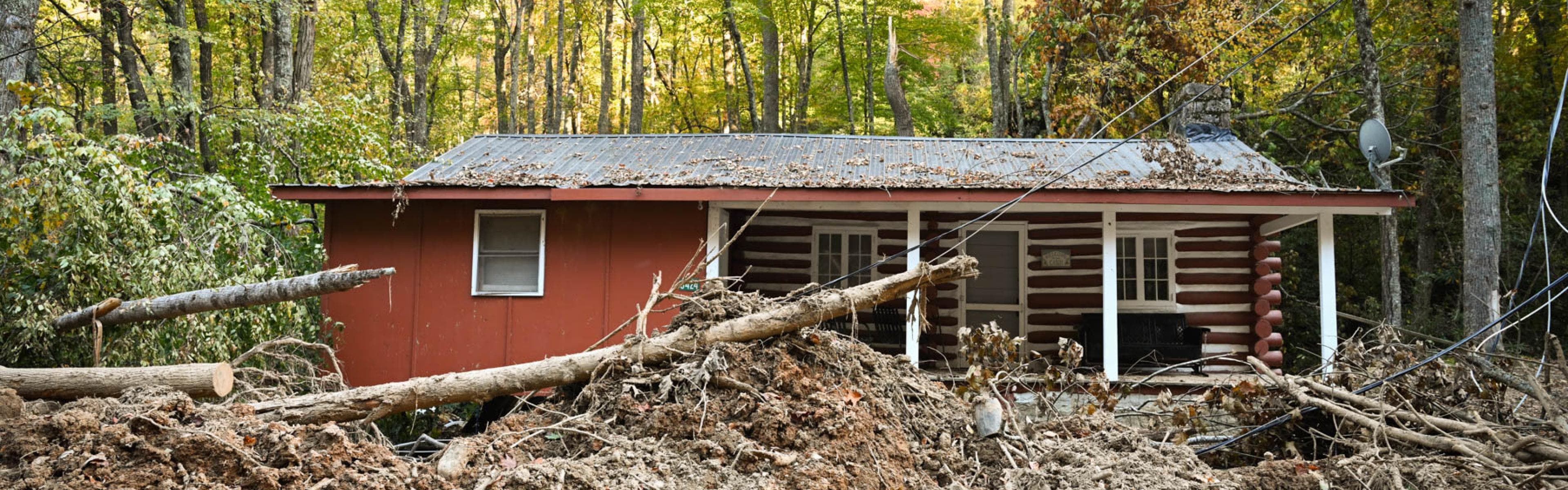Storm damage and fallen trees blocking cabin access